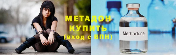 прущие грибы Пестово