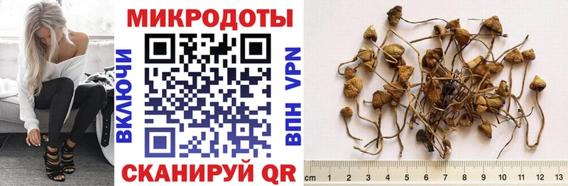 мега онион  Сольцы  darknet официальный сайт  Псилоцибиновые грибы мухоморы 